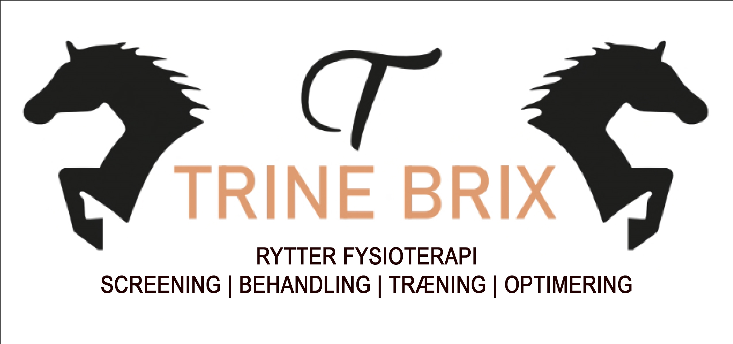 Rytterfys – Rytter Fysioterapi